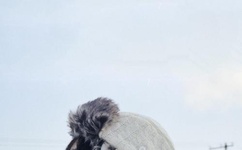 男人把大JI巴放进女人动态视频